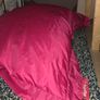 Big Bertha Bean Bag Image 5