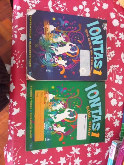Iontas 1