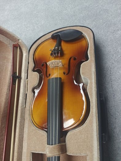 Violin