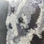 Unique 1960s Hand-Made Wool Terrier Portrait - Mid-Century Art (53x60cm) Image 6