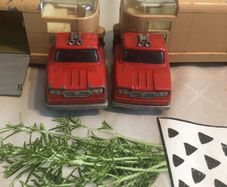 Matchbox king size Dodge horse van