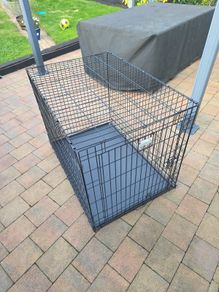 dog cage