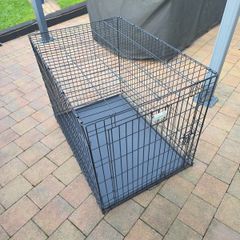 dog cage