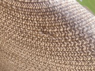 Circular Cotton Blend Rug