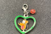 Disneyland Pin