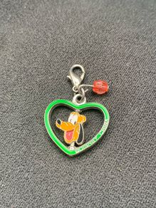 Disneyland Pin