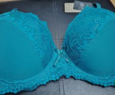 Brand New Bra