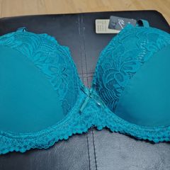 Brand New Bra