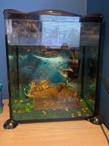 Small fish tank