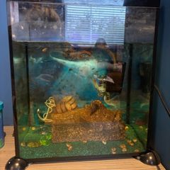 Small fish tank