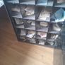 vintage industrial metal pigeonhole cabnit Image 5