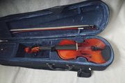 Violin