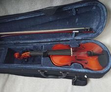 Violin