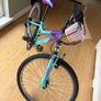 Apollo vivid junior mountain bike. Image 3
