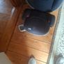 car seat Image 2
