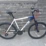Adults Bike Image 6