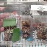 Flames of War, German FlaK 36 Platoon, GBX11 Image 3