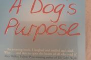 Book A Dogs Purpose