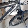 Diamondback Image 3