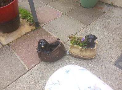dog planters