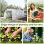 Walk-In Polytunnel Greenhouse Image 7