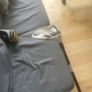 Taylor made RBZ Stage 2 three wood Image 4