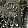 Women's sequinned jacket Other Stories BNWT black size 38 Image 3