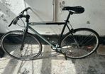 Fixed gear bike