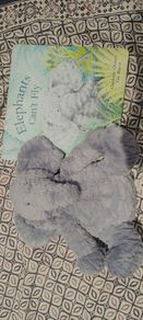 Jellycat Elly the Elephant and "Elephants Can't Fly" book