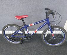 Raleigh 20