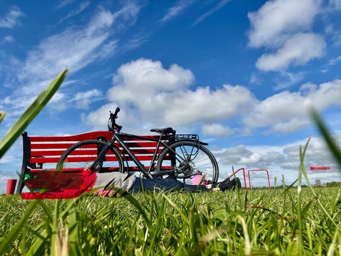 Ladies/ gents bicycle .