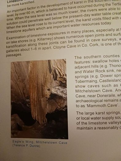 The Karst of Ireland/ Limestone Landscapes,Caves & Groundwater Drainage Systems/ 2000