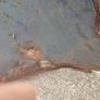 Morris Minor bonnet Image 4
