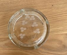 Duiske ash Tray