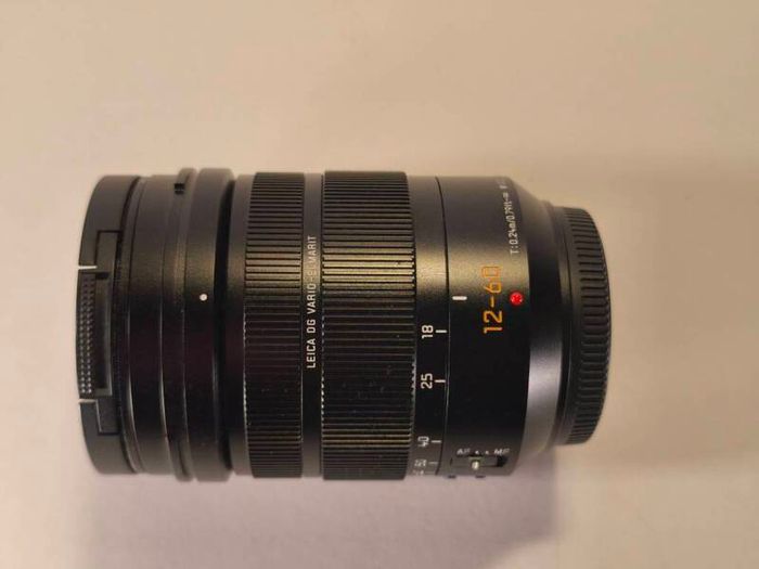 Panasonic Leica DG Vario-Elmarit 12-60mm f/2.8-4.0