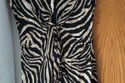 Shirt Dress