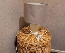 table lamp