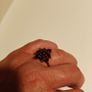 silver ring Image 7