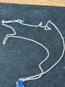 pandora necklace