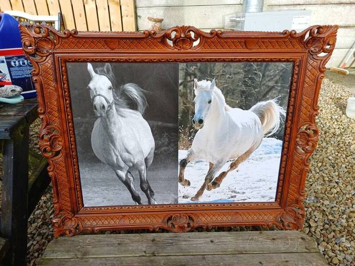 Vintage Equestrian Picture