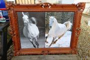 Vintage Equestrian Picture