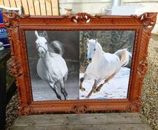 Vintage Equestrian Picture