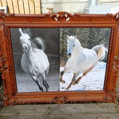 Vintage Equestrian Picture