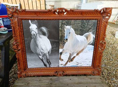 Vintage Equestrian Picture
