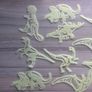 Glow in the dark stars and dinosaurs Image 2