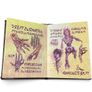 Evil Dead: Book Of The Dead Limited Edition Image 7
