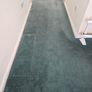 Carpet Image 2