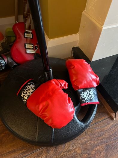 Punching bag and gloves