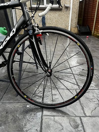 ridley triton