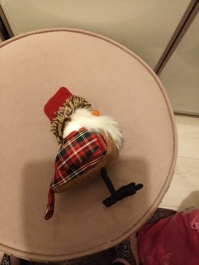 Christmas Robin